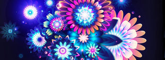 flowers 24