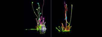 abstract water splash