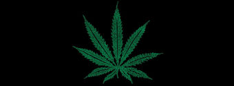 marijuana leaf