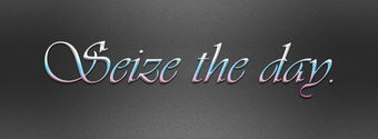 sieze the day