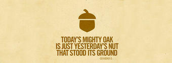 mighty oak